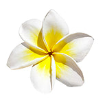 Tiare Flower