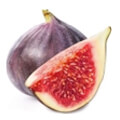 Fig