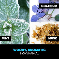 Adidas Ice Dive 100ml EDT for Men