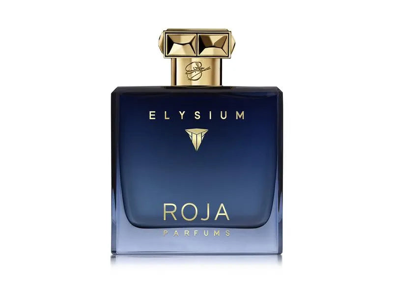 Roja Parfums Elysiums 100ml EDC for Men